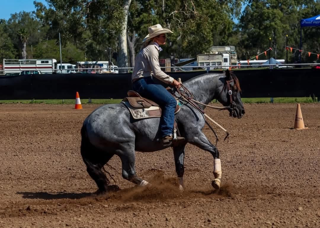 The "Competitor" Saddle Pad