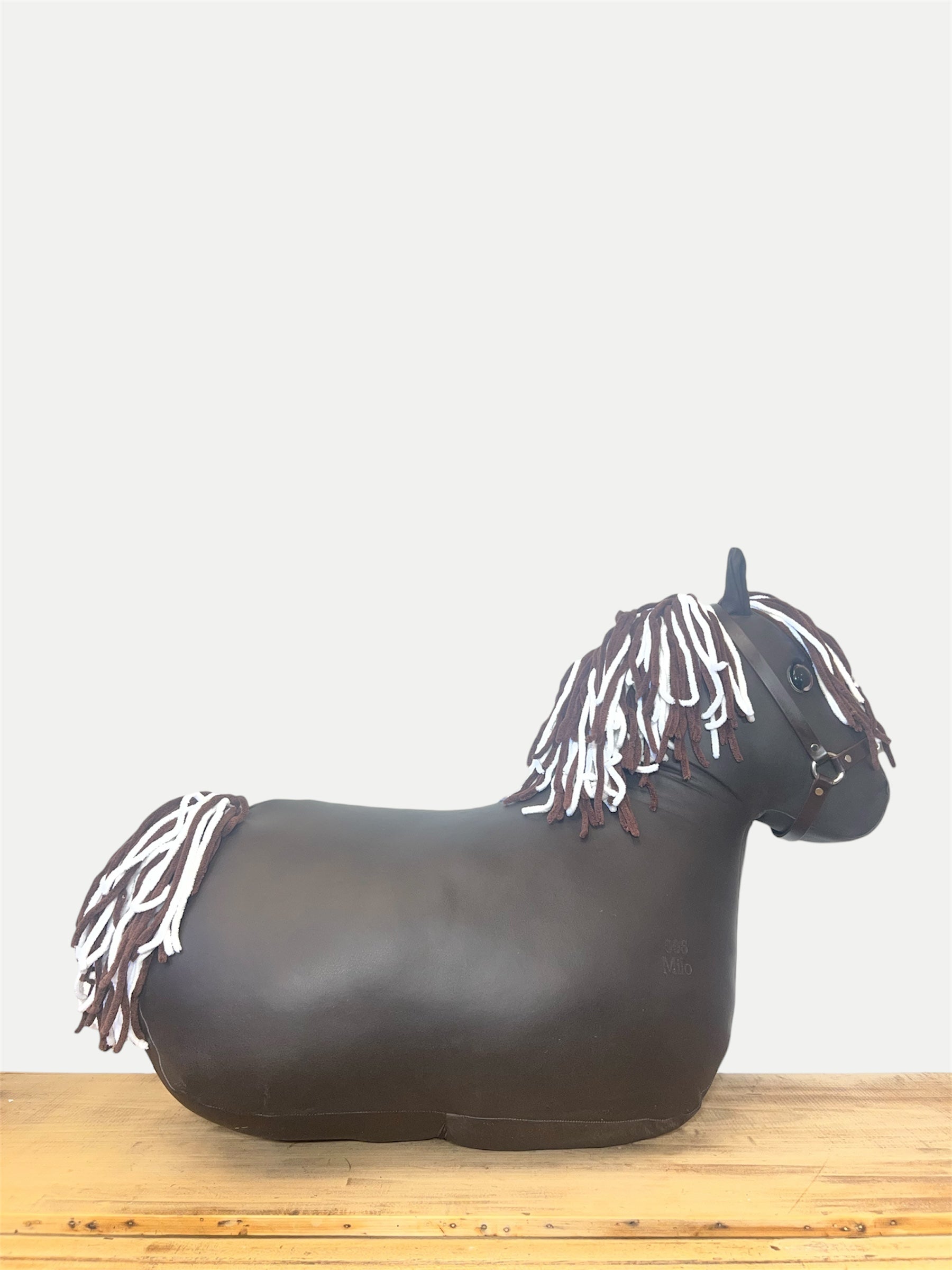 My First Pony