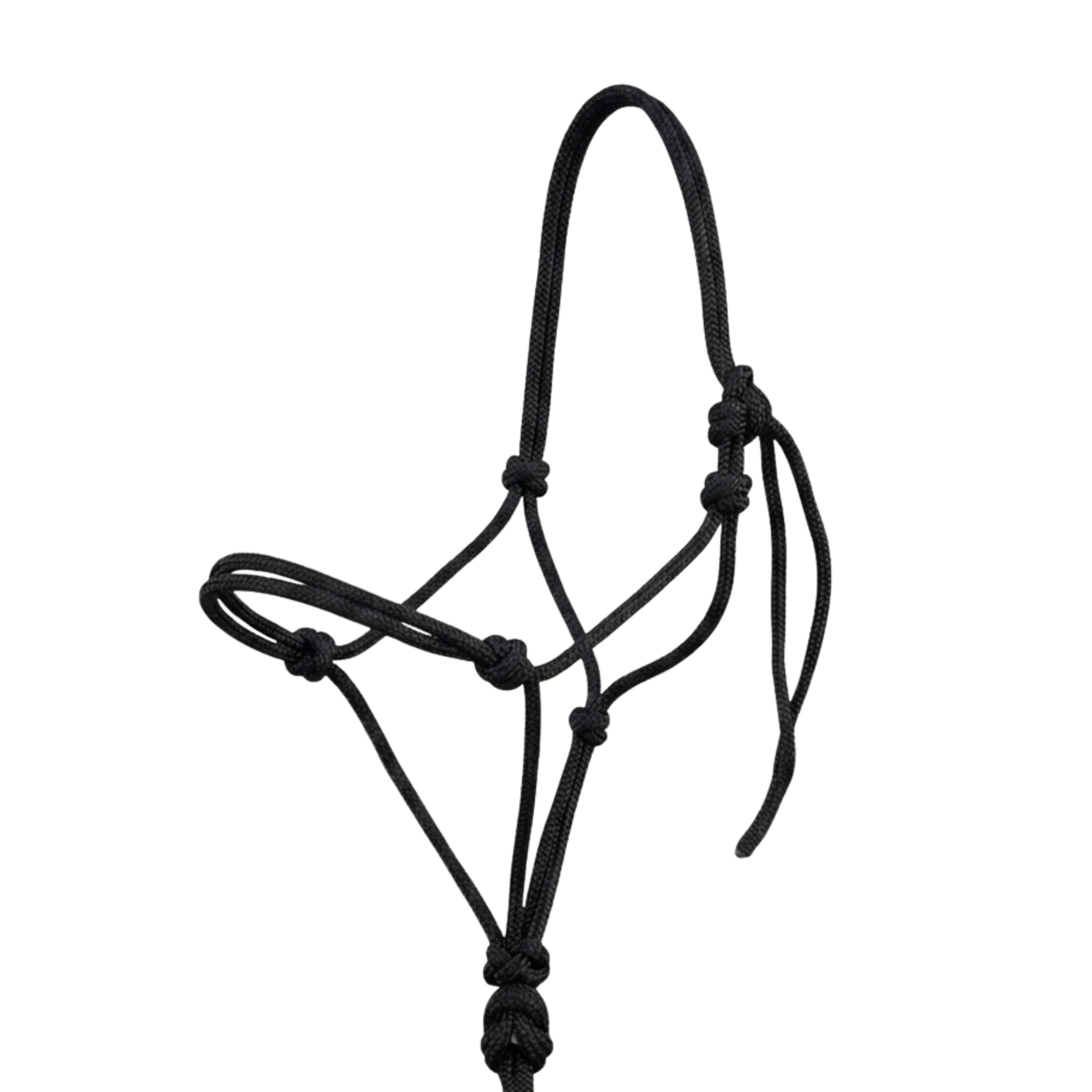 6mm Halters