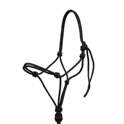 Halter and Lead Sets
