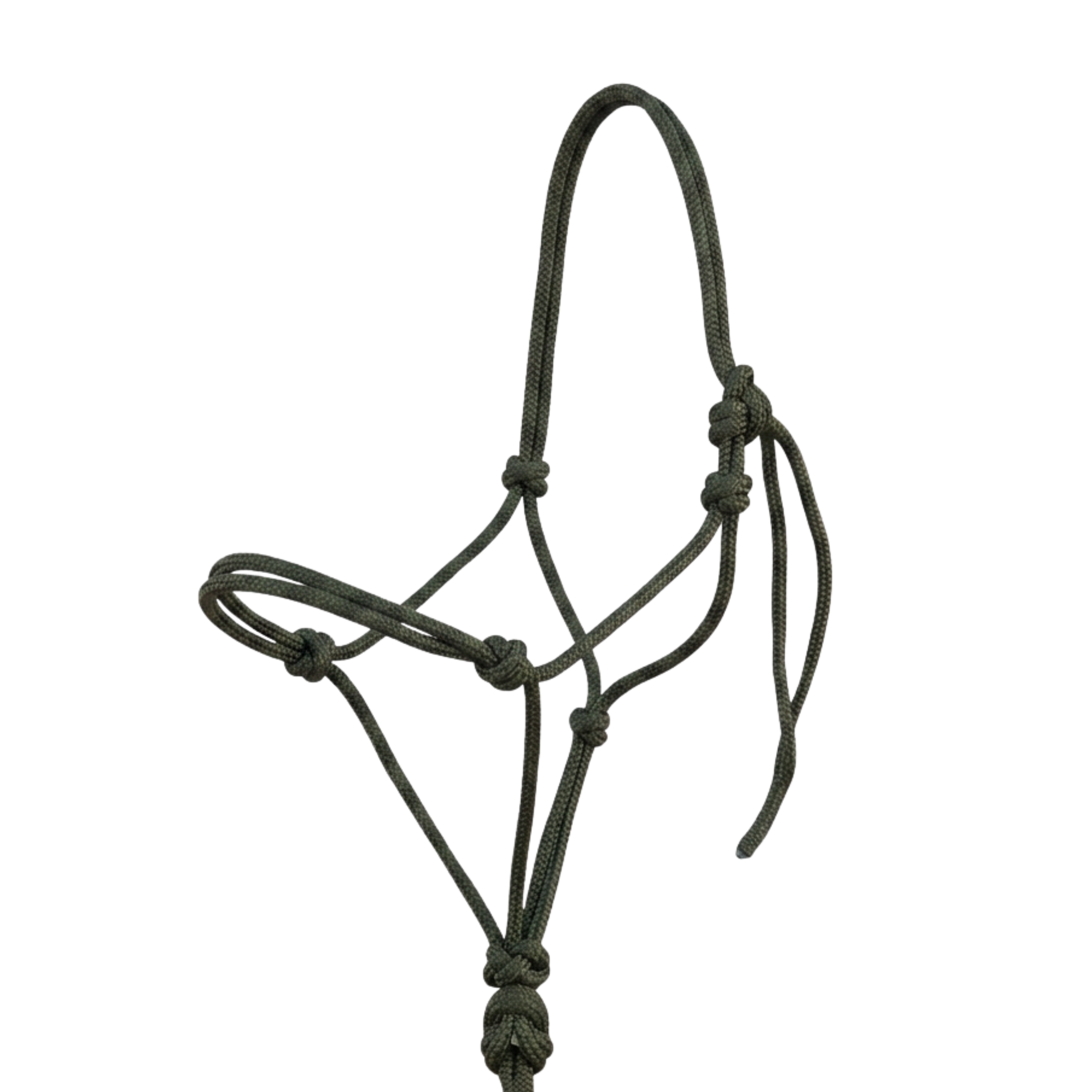 6mm Halters