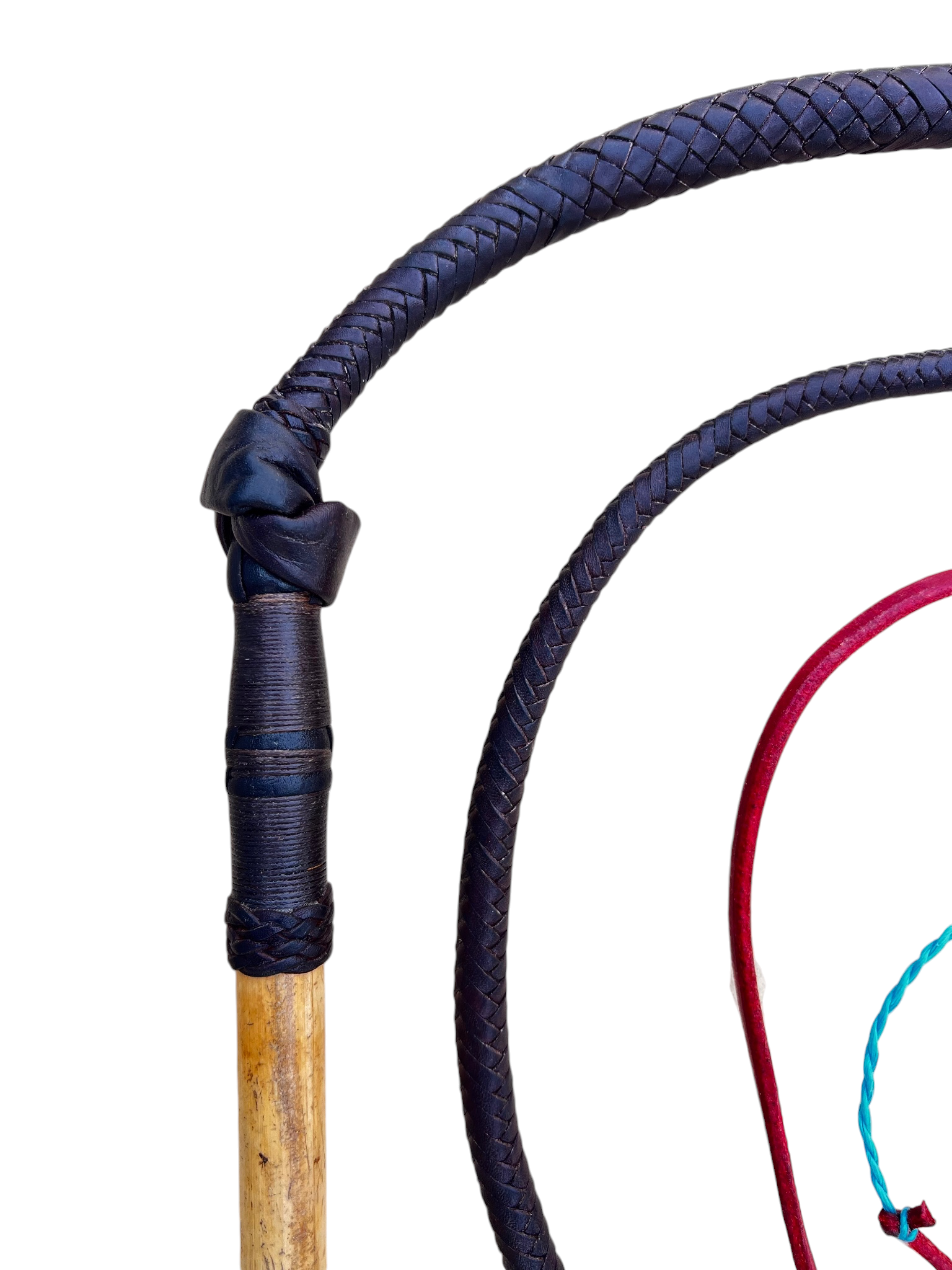 Stockwhip - Kangaroo 12 Plait