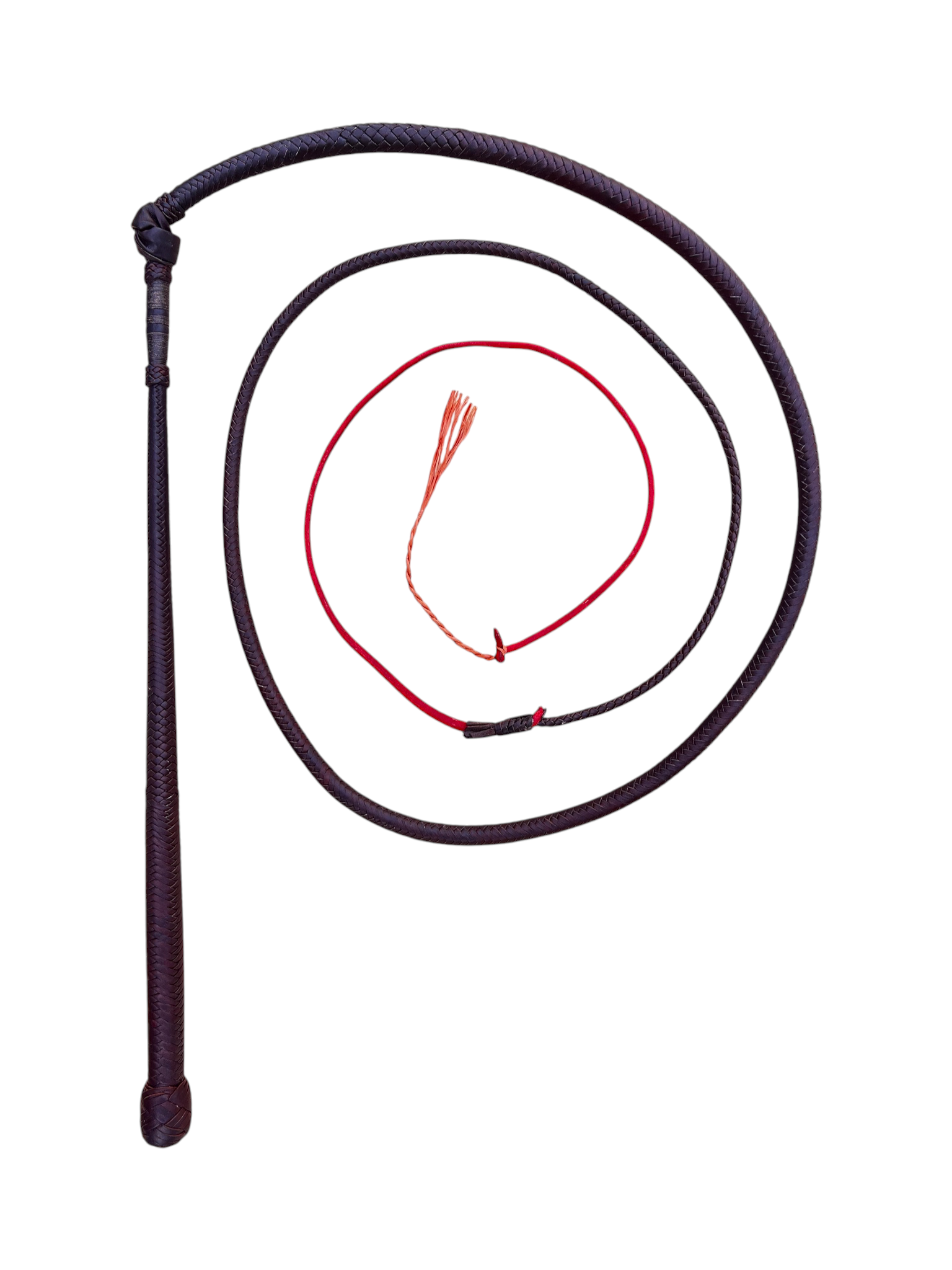 Stockwhip - Kangaroo 12 Plait