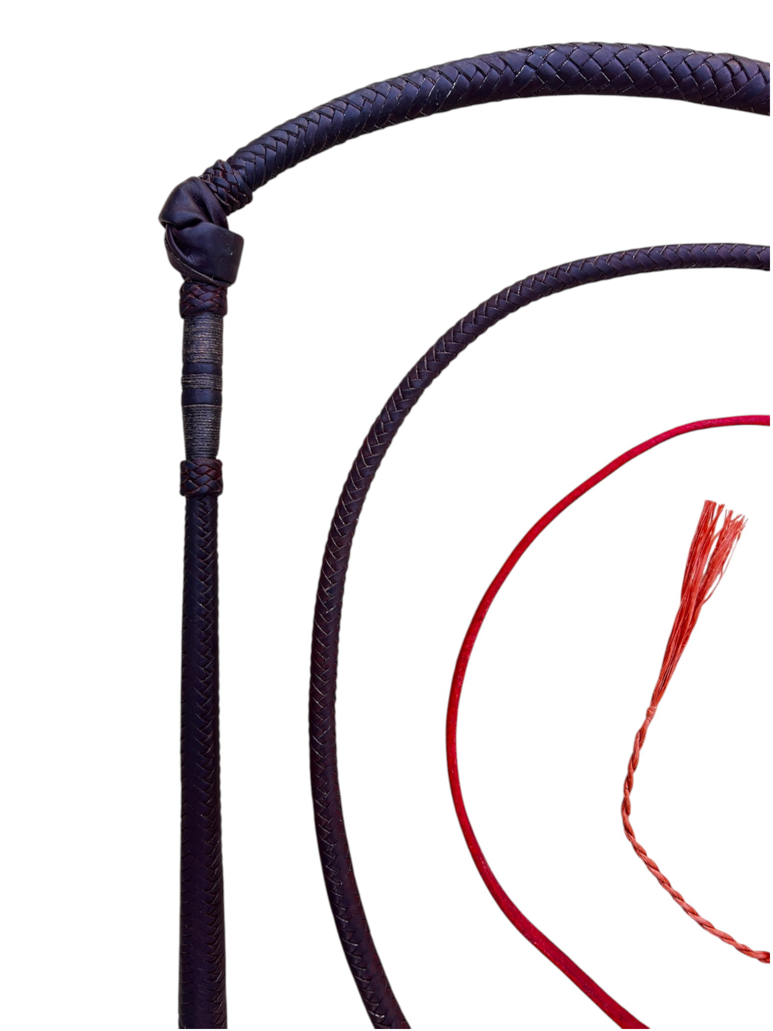 Stockwhip - Kangaroo 12 Plait