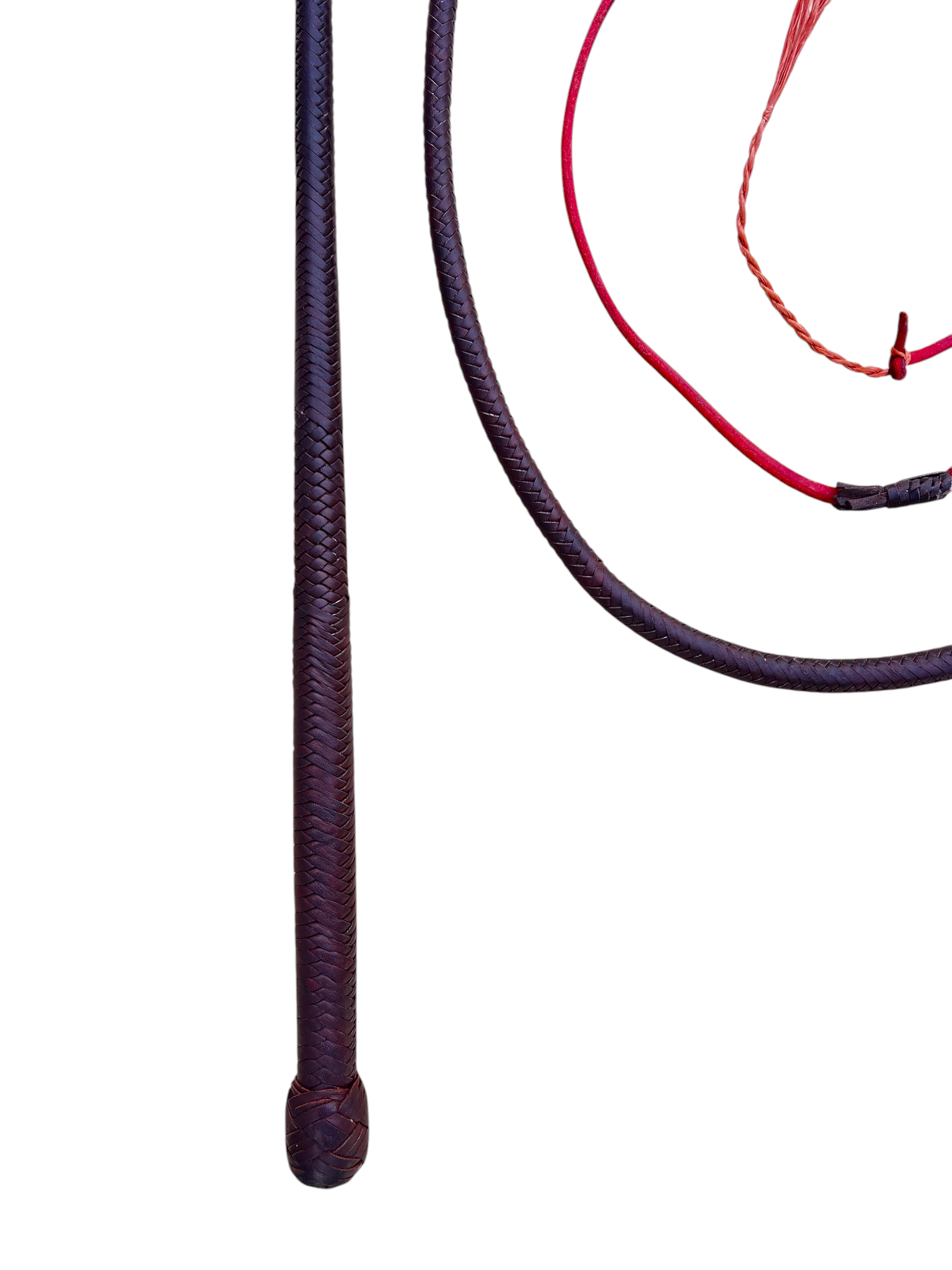 Stockwhip - Kangaroo 12 Plait