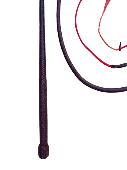 Stockwhip - Kangaroo 12 Plait