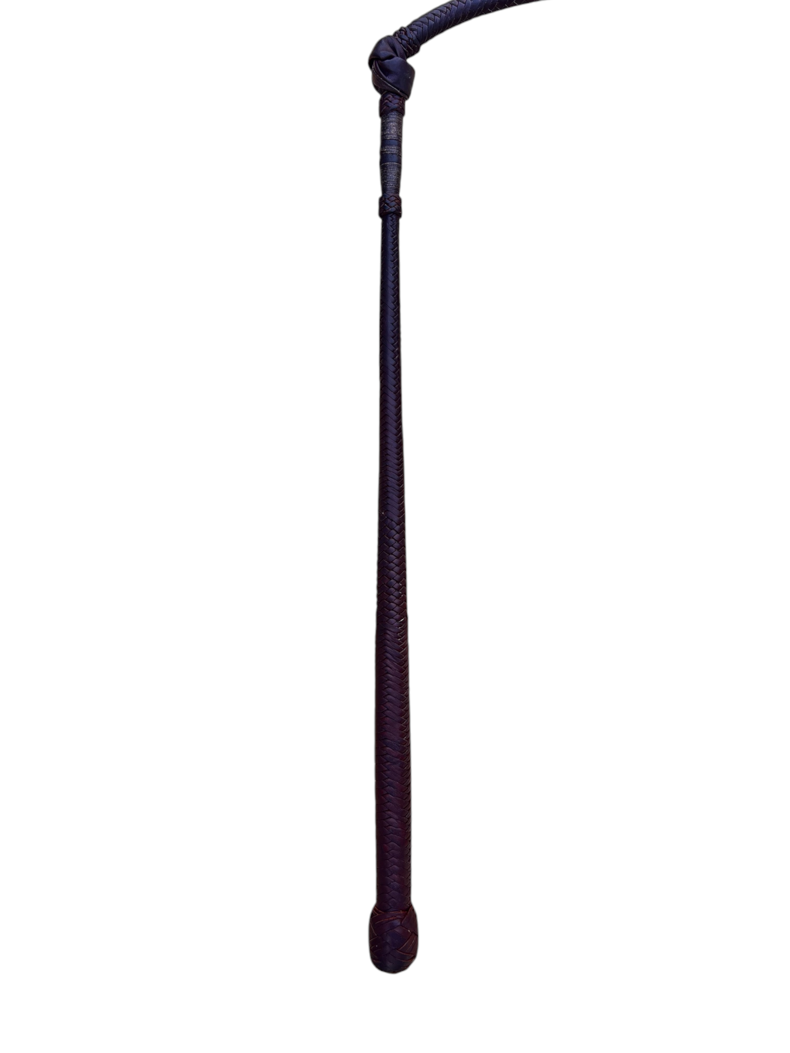 Stockwhip - Kangaroo 12 Plait