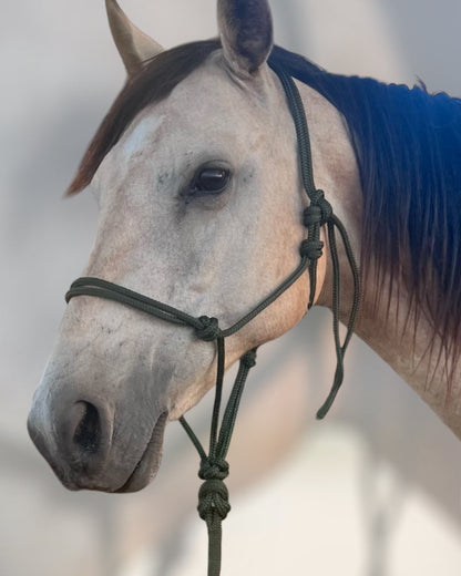 Halter and Lead Sets