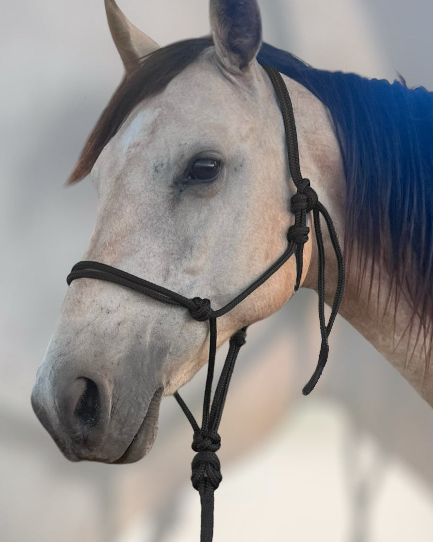 6mm Halters