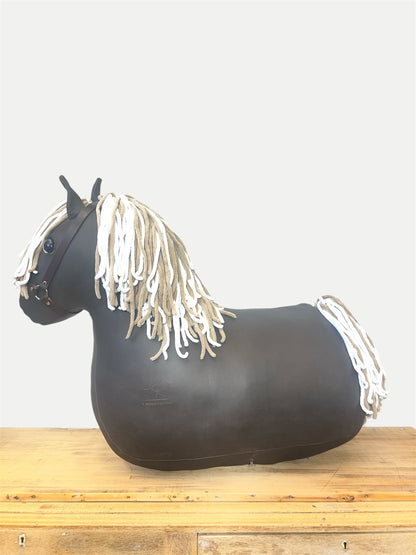 My First Pony