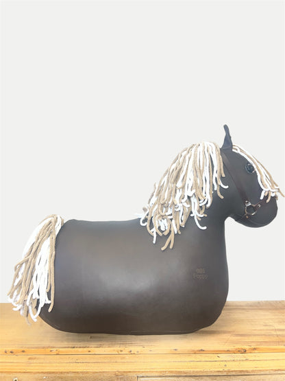 My First Pony