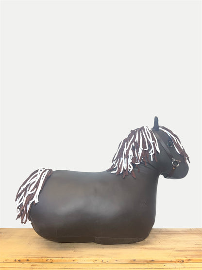 My First Pony