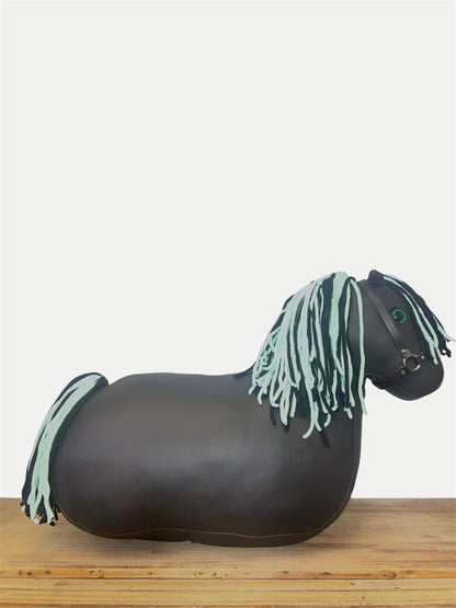 My First Pony