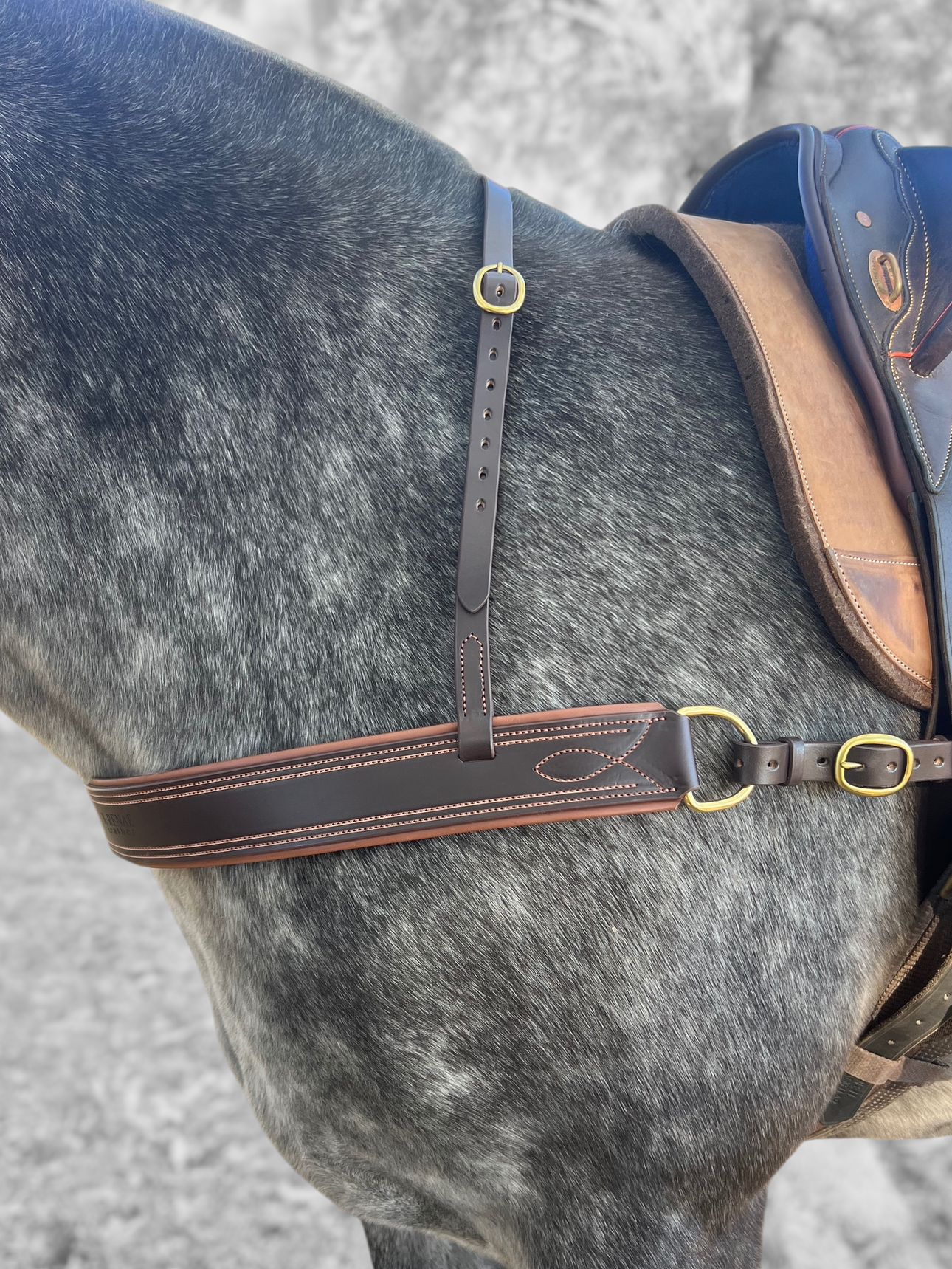 The "Plain Jane" Polo Breastplate