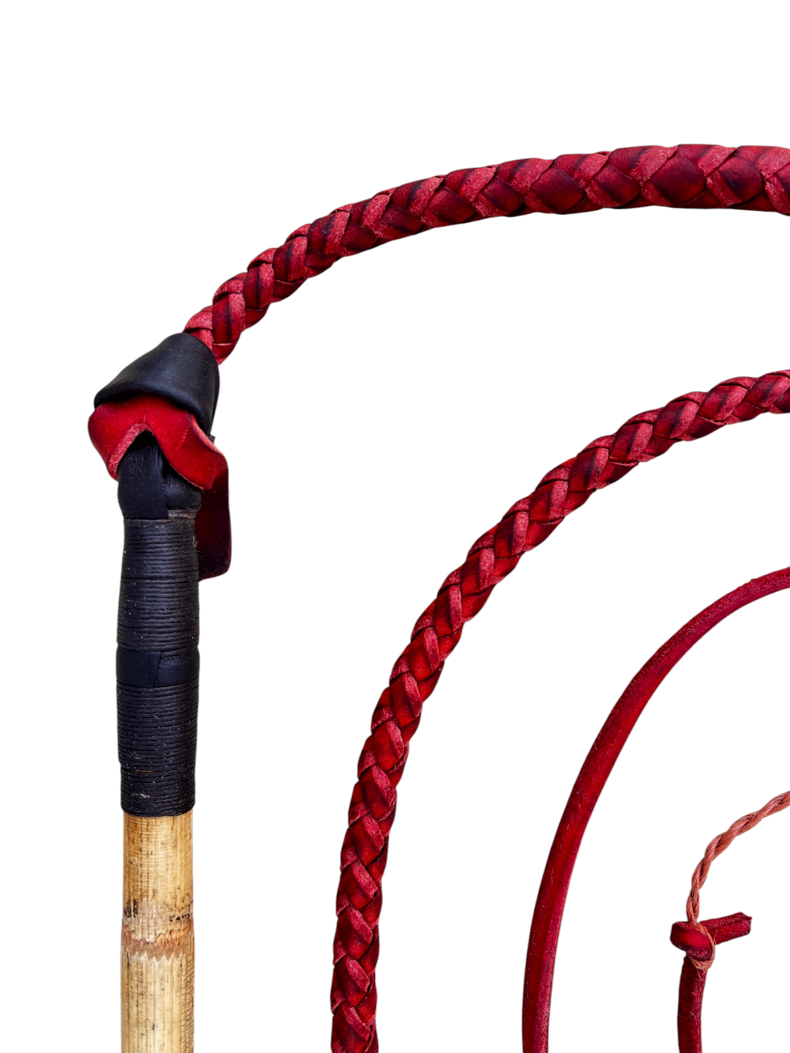 Stockwhip - Redhide 4 Plait